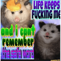 sticker image #4