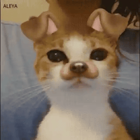 sticker image #14