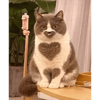sticker image #1