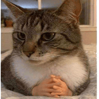 sticker image #4