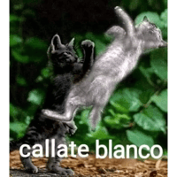 sticker image #1