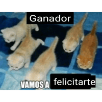 sticker image #21