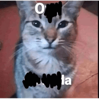 sticker image #22