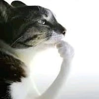 sticker image #2