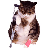 sticker image #5