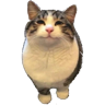 tray_icon