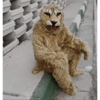 sticker image #18