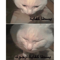 sticker image #8