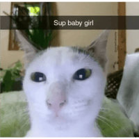 sticker image #27