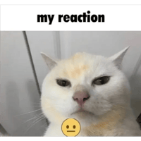 sticker image #28
