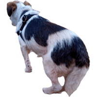 sticker image #4