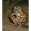 tray_icon #126269 sticker_pack