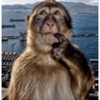 sticker image #27
