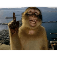 sticker image #28
