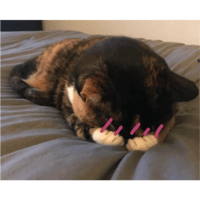 sticker image #21