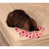 sticker image #26