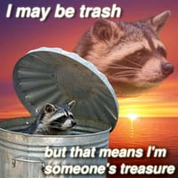 Sticker Maker - relatable raccoon