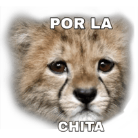 sticker image #24
