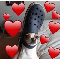 sticker image #27