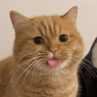 sticker image #11