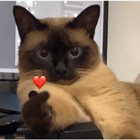 sticker image #18