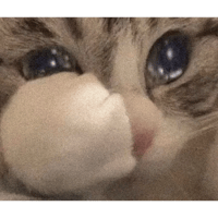 sticker image #22