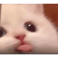 sticker image #25