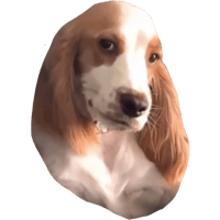 sticker image #2