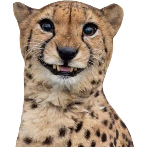 tray_icon #26049 sticker_pack