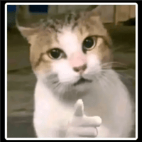 sticker image #15