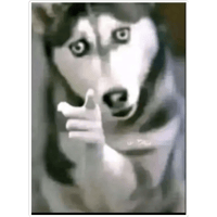 sticker image #11