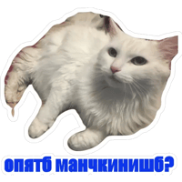 sticker image #13