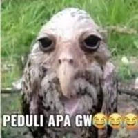 sticker image #7