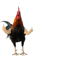 sticker image #2