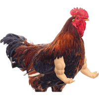sticker image #3