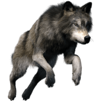 sticker image #6