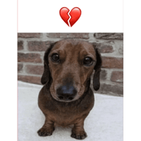 sticker image #21