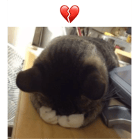 sticker image #22