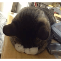sticker image #23