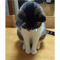 sticker image #24