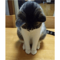 sticker image #25
