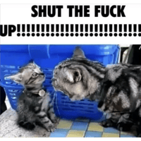 sticker image #16