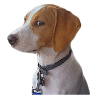 sticker image #17