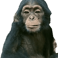 sticker image #7