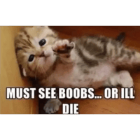 sticker image #19