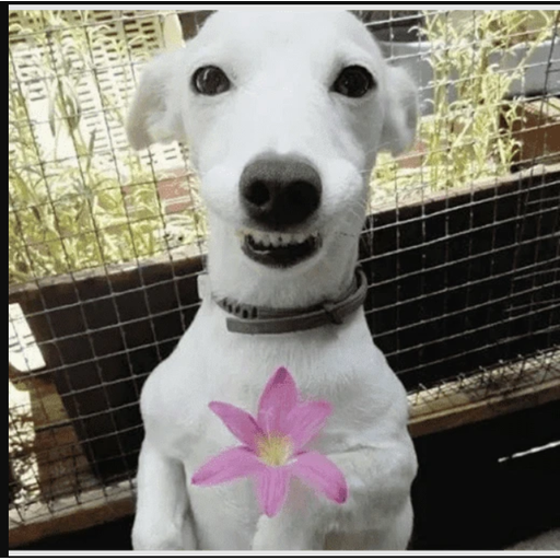 tray_icon #127198 sticker_pack