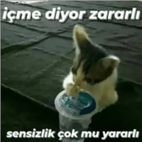 sticker image #18
