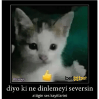 sticker image #21
