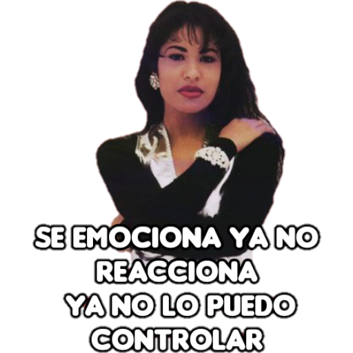 Sticker Maker - Selena Quintanilla