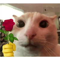 sticker image #1